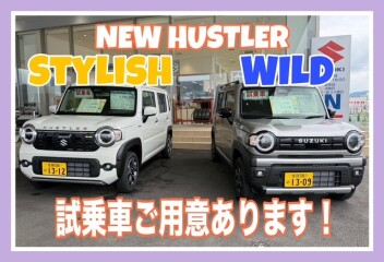 今週末の展示会のご案内です！